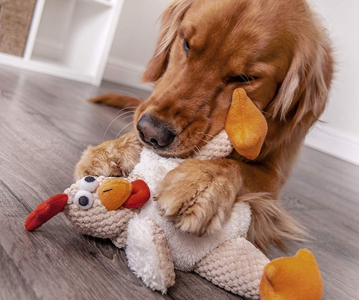 One Brand Leads the Pack in Amazon's Dog Toy Category