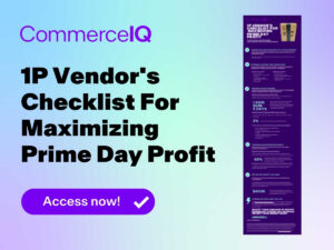 Preview image of ecommerce strategy checklist for Prime Day
